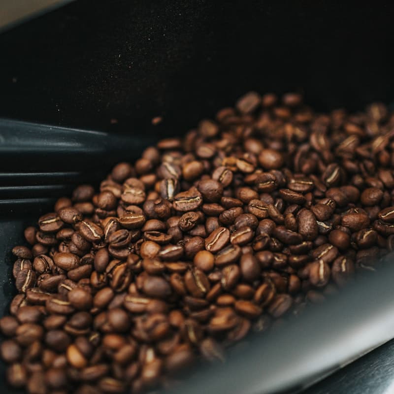 Swiss Water decaf coffee beans bag